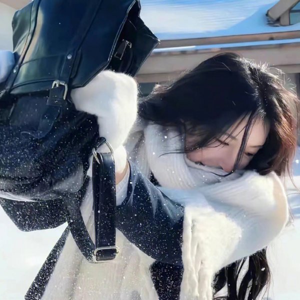 美声歌鸡